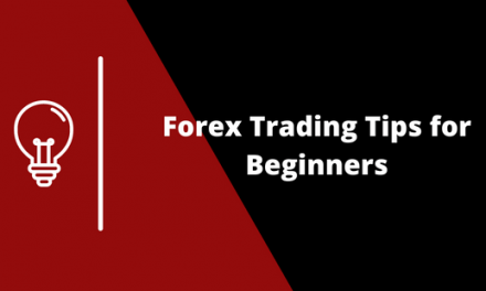 Daily Forex Trading Tips for Beginners December 2022