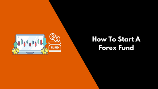How To Start A Forex Fund